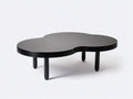 Couchtisch 122x80x35 cm - mattes Schwarz - organische Form - modernes Design für das Wohnzimmer